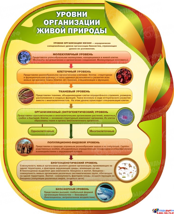 Центр экологического образования Республики Коми